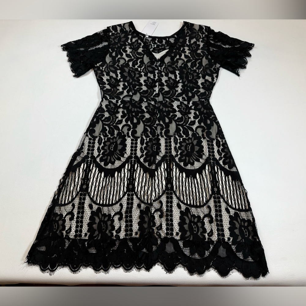 NWT MSLG Women's Elegant Round Neck V-Back Lace A Line Dress large (bin CC) - Picture 8 of 15